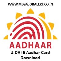 UIDAI E Aadhar Card Download Correction