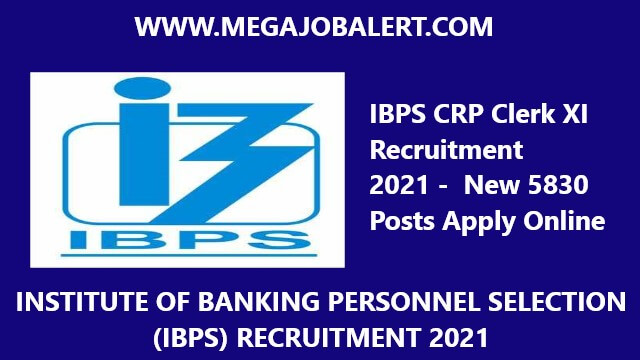 IBPS CRP Clerk XI Recruitment 2021