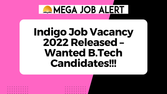 Indigo Job Vacancy 2022 Released – Wanted B.Tech Candidates!!!
